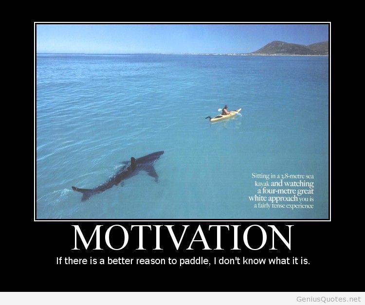 Featured image of post Monday Motivation Quotes For Work Funny